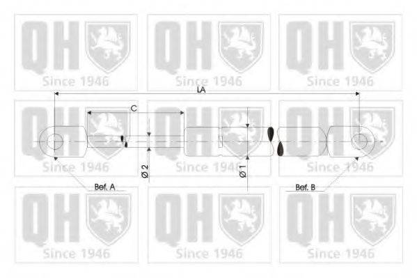 QUINTON HAZELL QTS828247 Газова пружина, капот